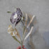 LOVECO bouquet blue check & white